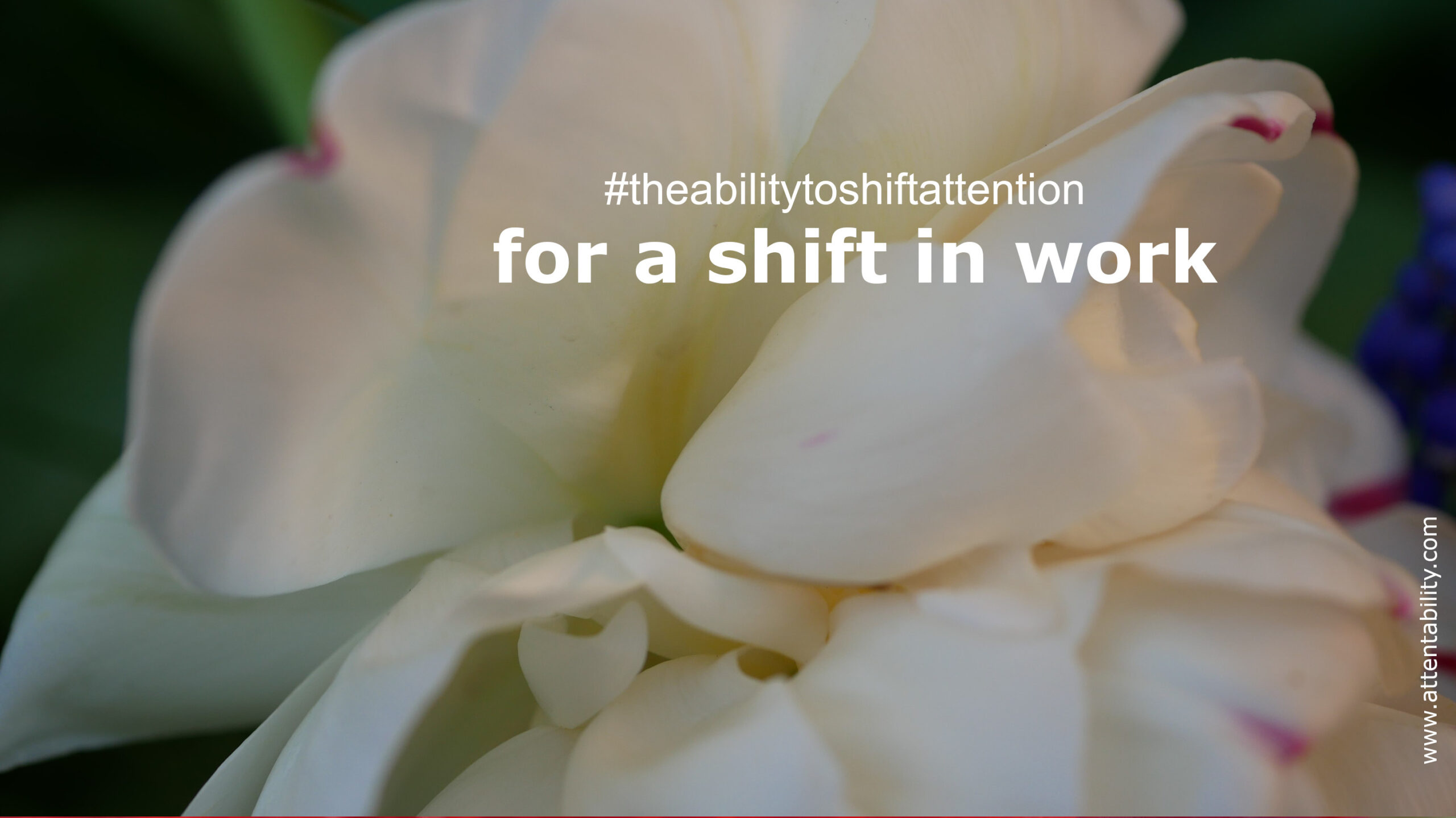 https://attentability.de/wp-content/uploads/2024/06/Week22a-scaled.jpg